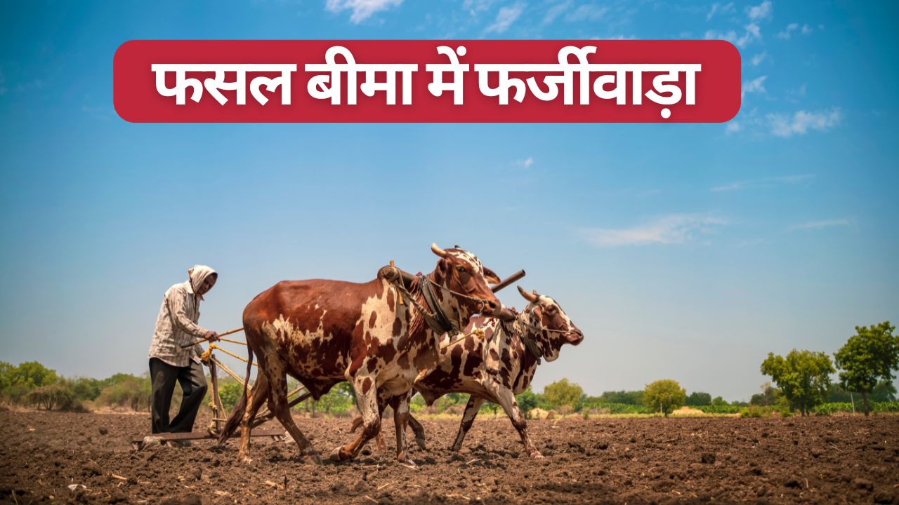 Pm Fasal Bima Fraud Over Rs 66 Crore To Be Recovered From 29 Farmers In Mathura Uttar Pradesh Notices Issued To Farmers Crop Insurance Fraud