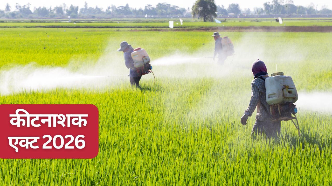 Pesticides Act Draft Released To Replace 57 Year Old Act Ministry Of Agriculture Seek Suggestions From Public To Make Rules More Strict