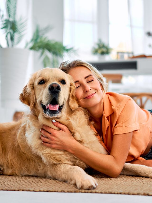 कड़ाके की ठंड में पेट्स नहीं पड़ेंगे बीमार, अपनाएं ये 8 देसी टिप्स!