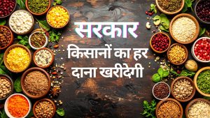 दलहन-तिलहन किसानों की भरेगी झोली.. दाना दाना खरीदेगी सरकार, MSP भुगतान पर केंद्र से मंजूरी
