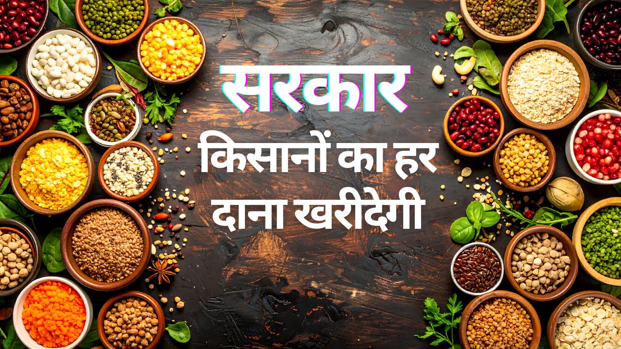 दलहन-तिलहन किसानों की भरेगी झोली.. दाना दाना खरीदेगी सरकार, MSP भुगतान पर केंद्र से मंजूरी