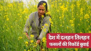 रबी फसलों की बुवाई का रिकॉर्ड टूटा, गेहूं का रकबा बढ़ा.. मोटे अनाज की खेती से किसानों ने बनाई दूरी