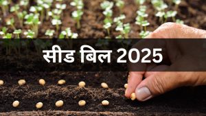 Budget 2026: नया Seed Bill खत्म करेगा किसानों की टेंशन, जानें कैसे मिलेगा फायदा और क्या होंगे बड़े बदलाव
