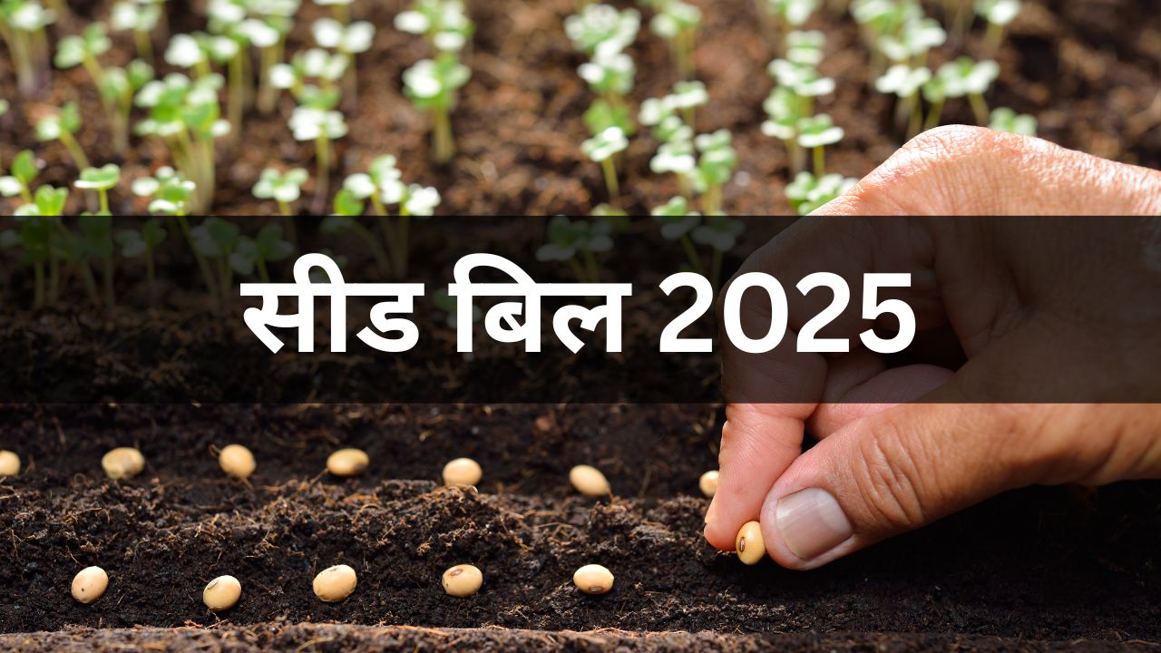 Budget 2026 New Seed Bill 2025 To Be Introduced To Stop Sale Of Fake Seeds Fine Upto Rs 30 Lakh