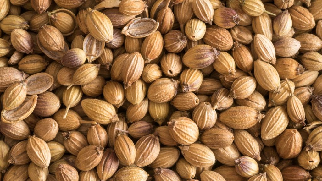 कई बीजों के ऊपर सख्त छिलका होता है, जो मिट्टी की नमी से आसानी से टूट नहीं पाता. बीजों को बोने से पहले पानी में भिगोने से यह छिलका नरम हो जाता है, जिससे बीज के अंदर मौजूद भ्रूण आसानी से अंकुरित हो जाता है. यह पौधे के शुरुआती दिनों को मजबूत बनाता है.