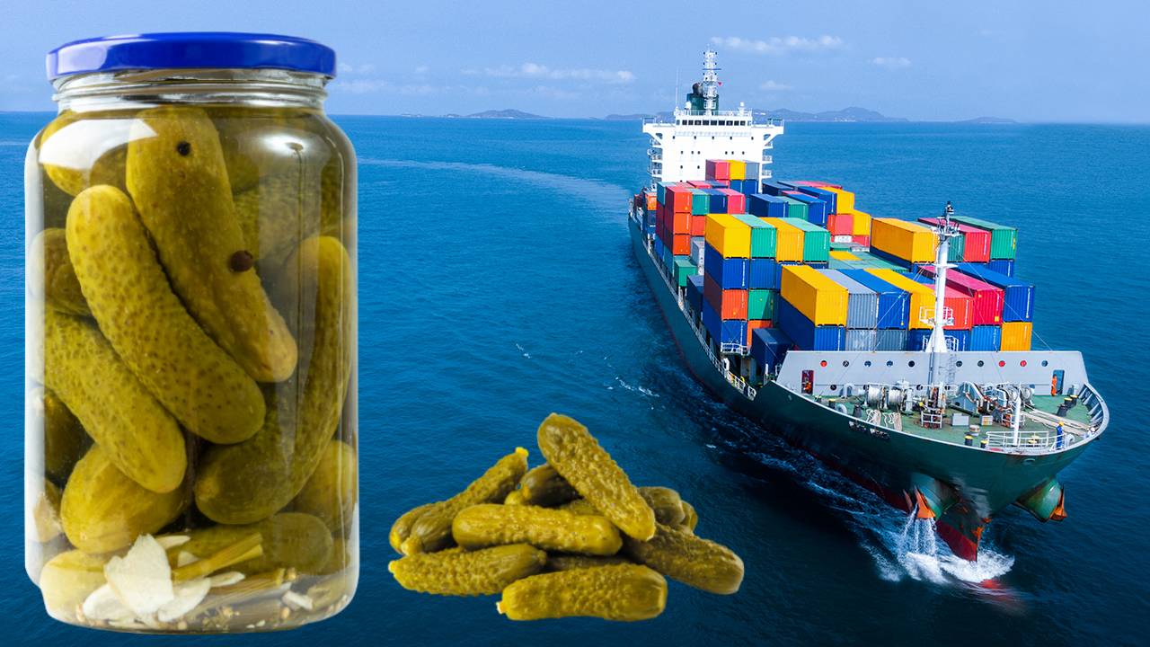 Us Tariffs Hit Indian Gherkin Exports 10 Percent Decline Fy2026 Production Cuts