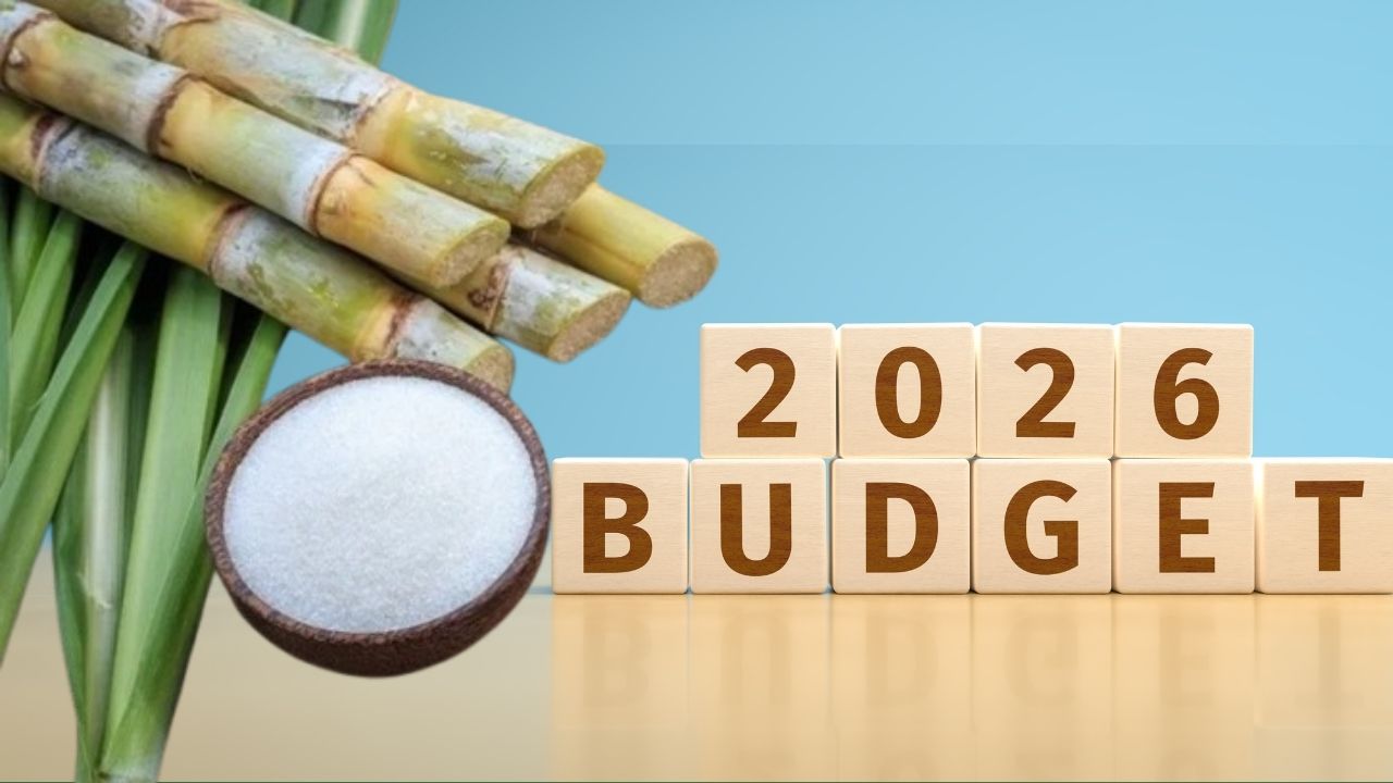 बजट में जीएसटी कटौती करे सरकार.. ISMA ने प्रदूषण घटाने और किसानों की आय बढ़ाने के लिए दिए सुझाव