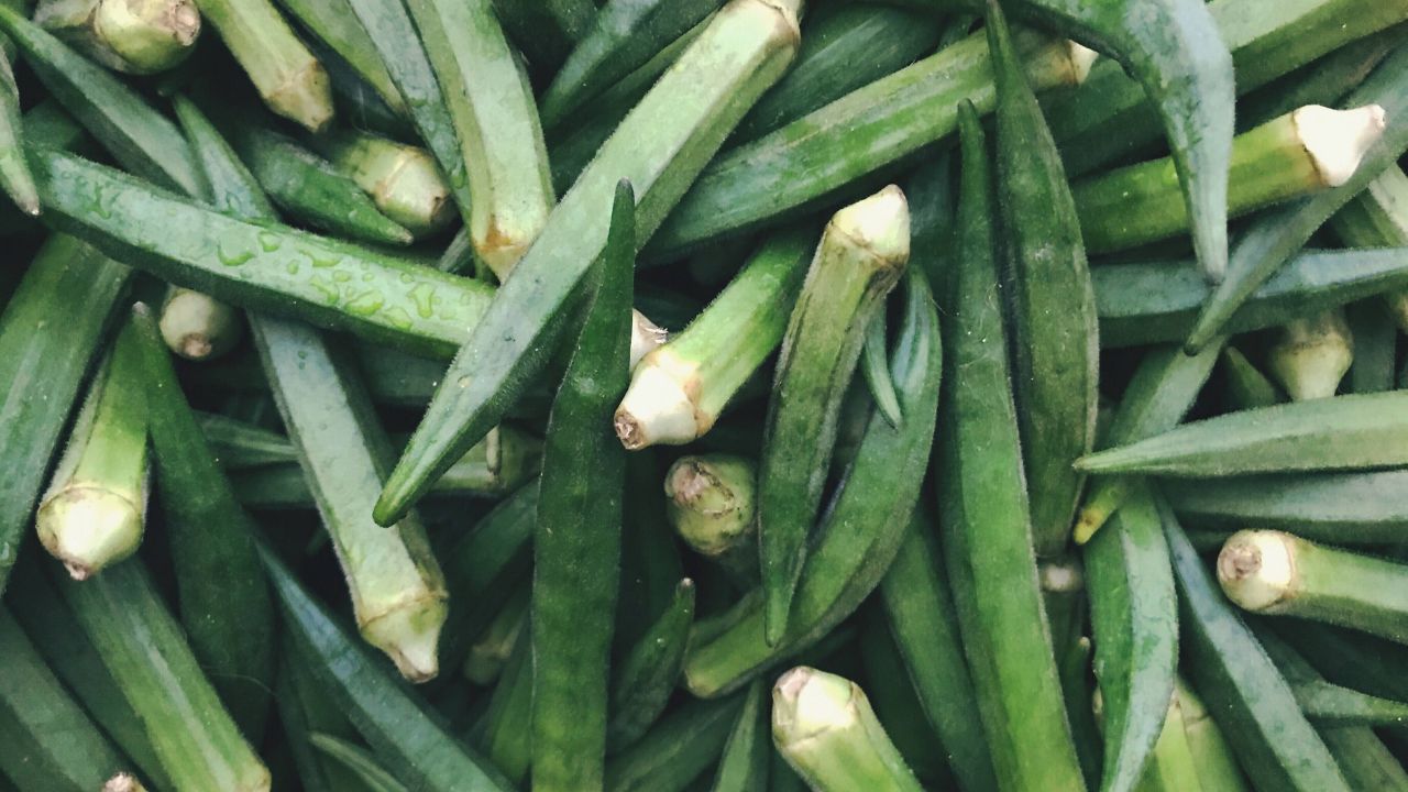Early Okra Cultivation January Change Your Fortune Earning Lakhs From One Acre Short Time