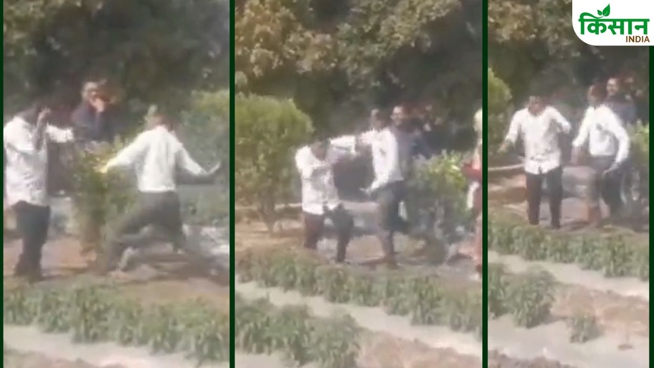 Maharashtra Agriculture Officer Beat Farmer With Slippers And Slaps Video Viral