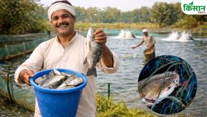 Budget 2026 Expectations: मछली पालकों की सरकार से बड़ी मांग, बजट में भारी सब्सिडी और सस्ते लोन की उम्मीद