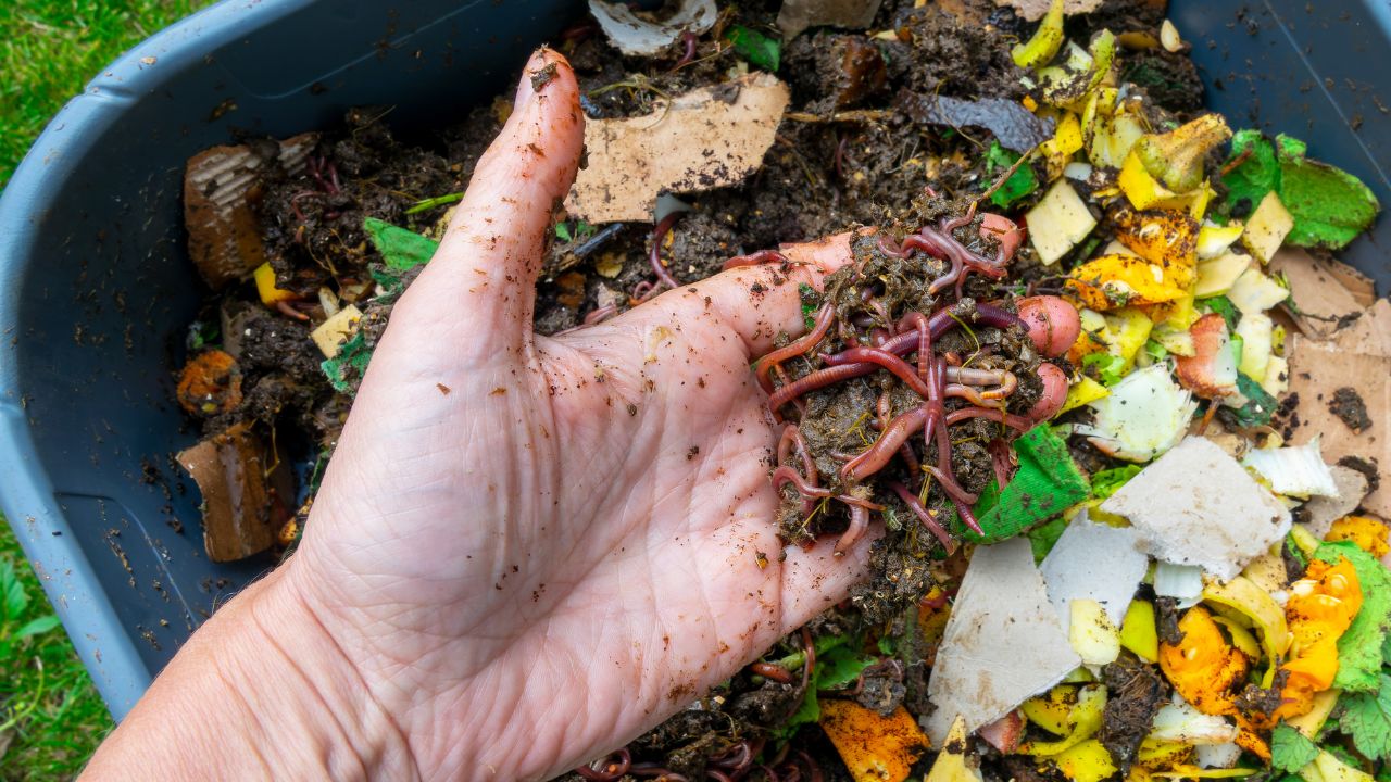 Make This Magical Natural Fertilizer Home Using Kitchen Waste This Easy Way