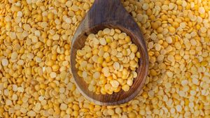 3 लाख टन से ज्यादा तूअर खरीद को केंद्र की मंजूरी, किसानों को मिलेंगे 2696 करोड़ की रुपये