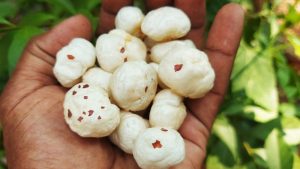 Bihar Budget 2026: मखाना को मिलेगी ग्लोबल पहचान, किसानों की होगी बंपर कमाई.. सरकार की बड़ी घोषणा