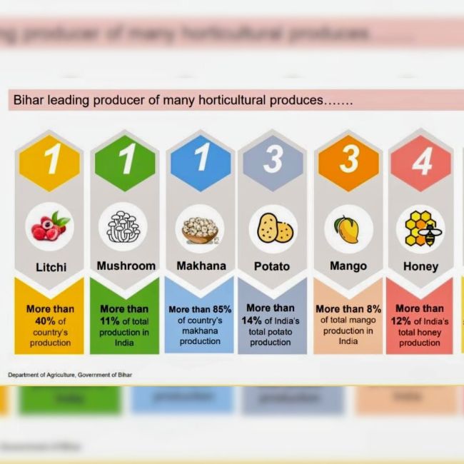 Bihar Horticulture, Makhana Production, Litchi Farming, Honey Production, Agri Business