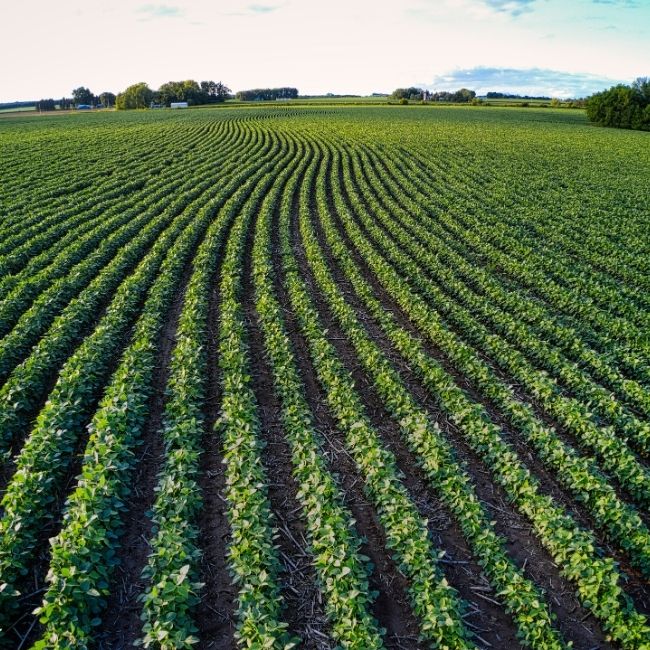 Climate Smart Farming, Climate Smart Agriculture, Sustainable Farming