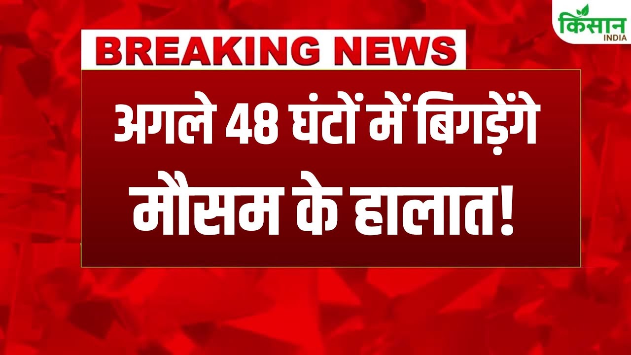 Weather Change After January 24 Rain In Delhi Cold Wave Likely Punjab And Haryana With Strong Winds