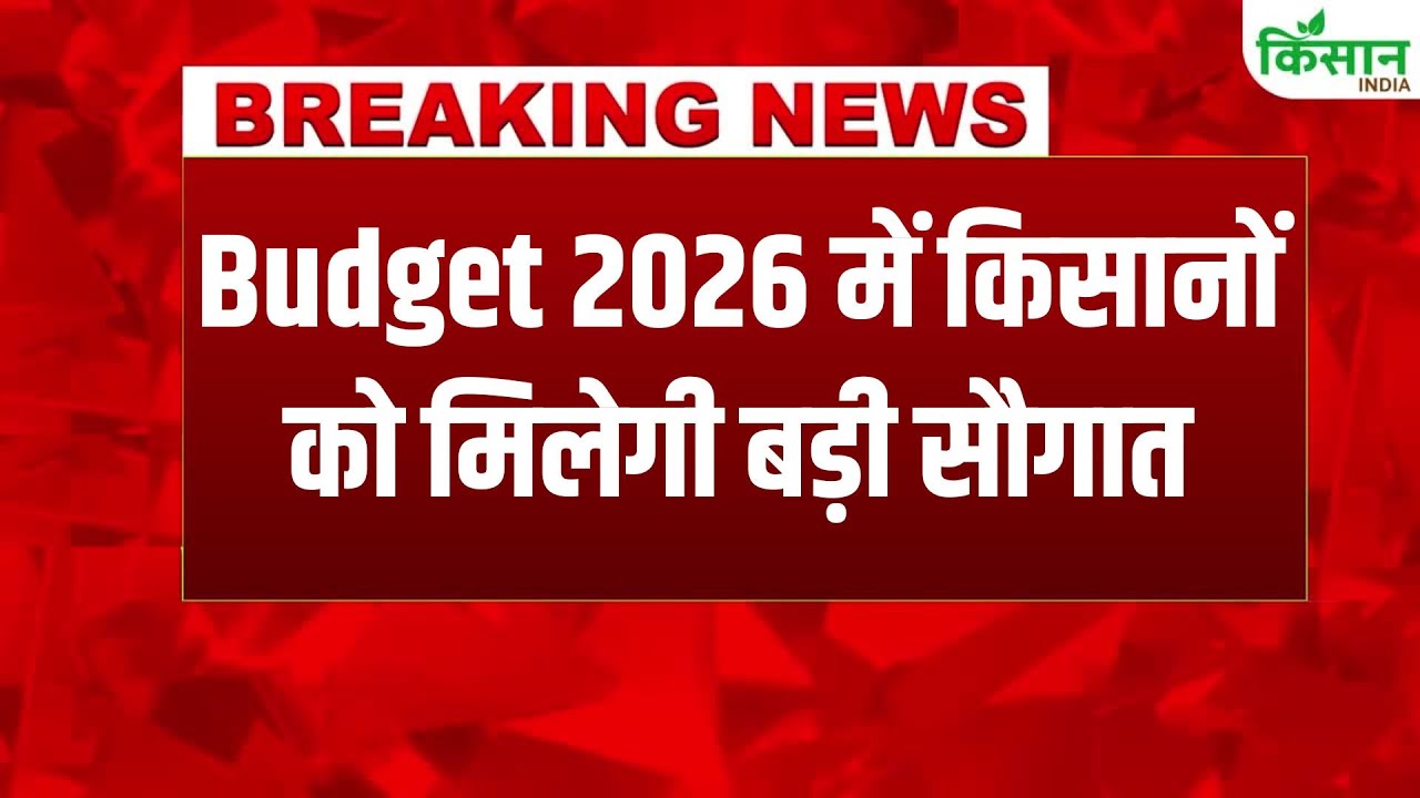 Budget 2026 से पहले किसानों की किस्मत पर मंथन, निर्मला सीतारमण से मिले शिवराज सिंह चौहान