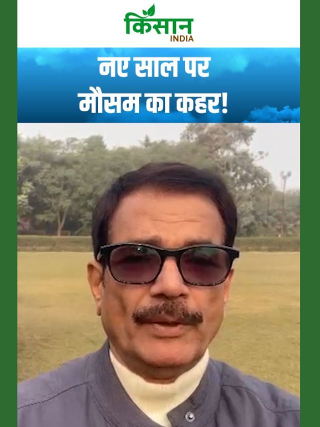 नए साल 2026 पर मौसम का कहर! बारिश, बर्फबारी और घना कोहरा एक साथ!