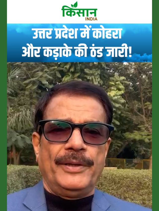 वेदर एक्सपर्ट ने जारी की चेतावनी! कई राज्यों में बारिश, पहाड़ों पर बर्फबारी जारी!