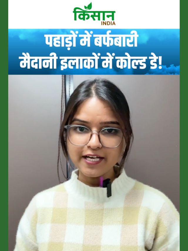 इन राज्यों में बारिश-बर्फबारी की चेतावनी, कोल्ड डे की चपेट में उत्तर भारत!