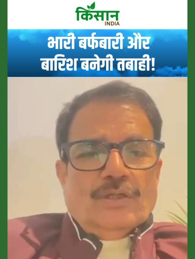 उत्तर भारत में मौसम का कहर! घना कोहरा, शीतलहर और बर्फबारी का अलर्ट!