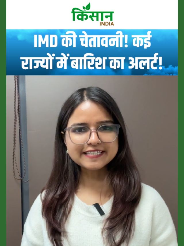 दिल्ली-एनसीआर से पहाड़ों तक मौसम बिगड़ा! उत्तर भारत में सर्दी का प्रकोप!