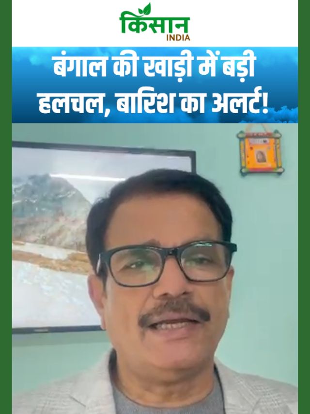 दिल्ली से पहाड़ तक ठंड, केरल से अंडमान तक बारिश! मौसम को लेकर बड़ा अलटफेर जारी!
