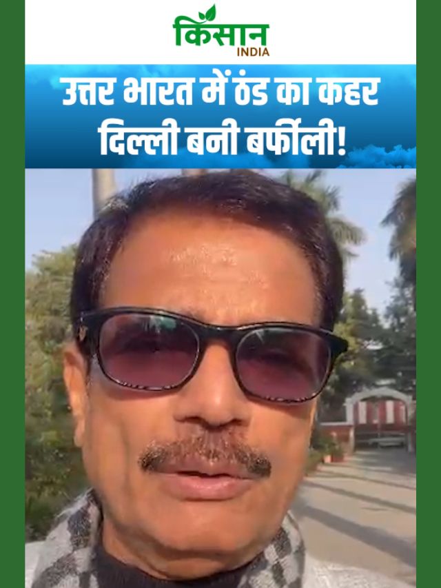 उत्तर भारत में ठंड का कहर, दिल्ली बनी बर्फीली,  इन 9 राज्यों में शीतलहर का अलर्ट!