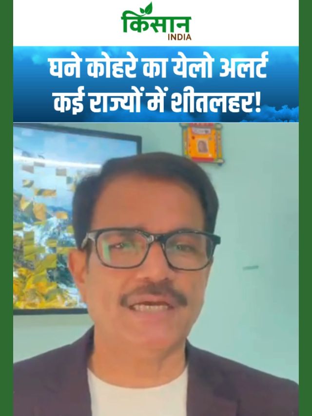 अगले 2-3 दिन भारी! ठंड, कोहरा और बारिश का ट्रिपल अटैक!