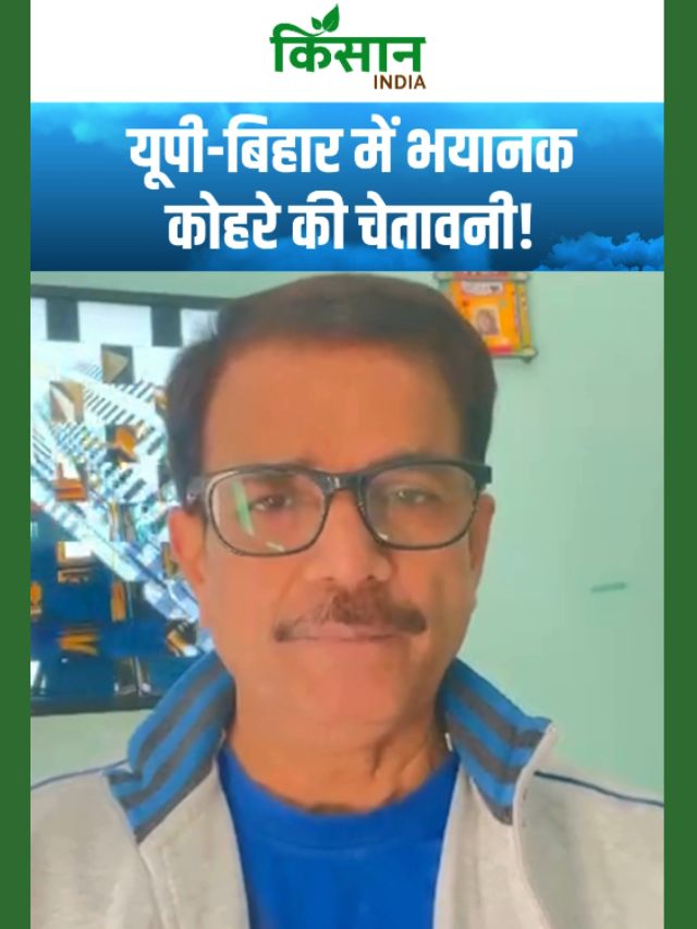 Aaj Ka Mausam | यूपी-बिहार में भी कोहरे की चेतावनी! सर्दी और बारिश ने बढ़ाई मुश्किलें