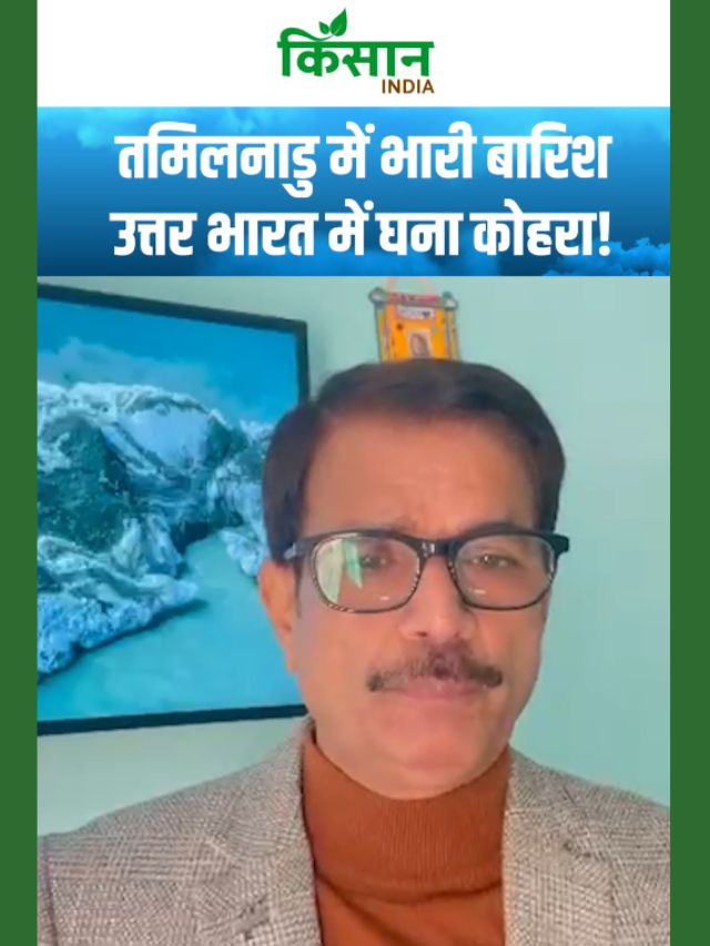 तमिलनाडु में भारी बारिश, उत्तर भारत में घना कोहरा! मौसम का बड़ा अपडेट!