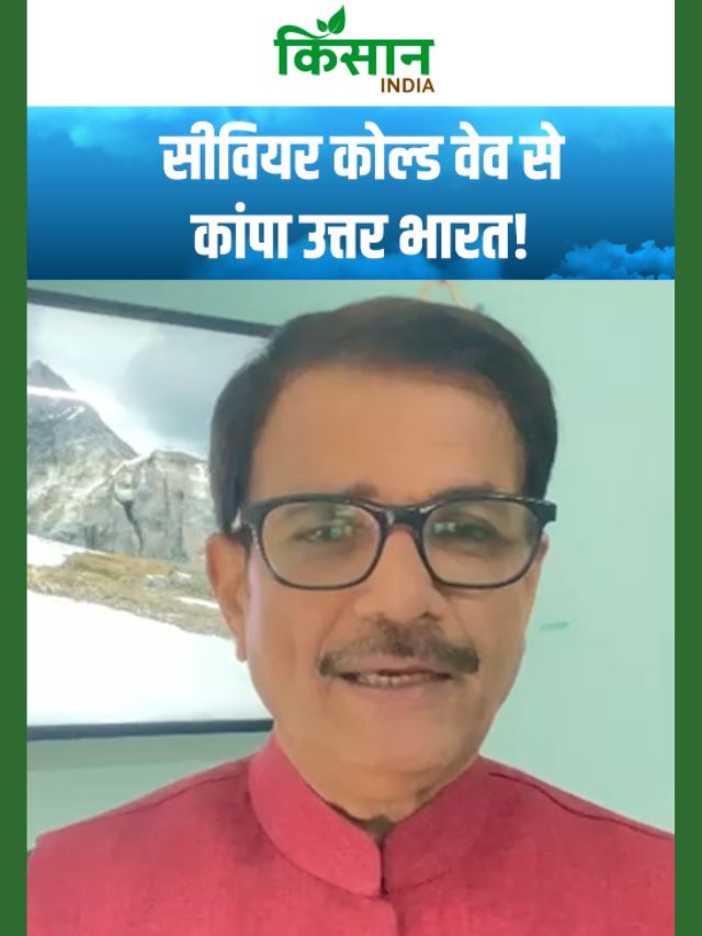 Aaj Ka Mausam: सीवियर कोल्ड वेव से कांपा उत्तर भारत, घने कोहरे की चेतावनी जारी!