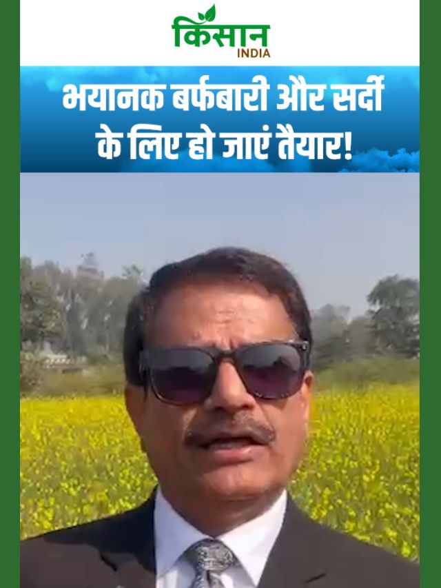 अब पड़ेगी भयानक ठंड और बर्फबारी! जमा देने वाली सर्दी के लिए हो जाएं तैयार!