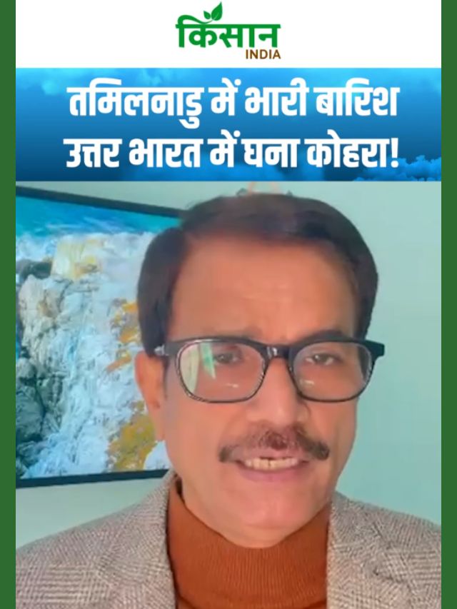 मौसम को लेकर जारी नया अपडेट, दक्षिण में बारिश, उत्तर भारत में शीतलहर और कोहरा!