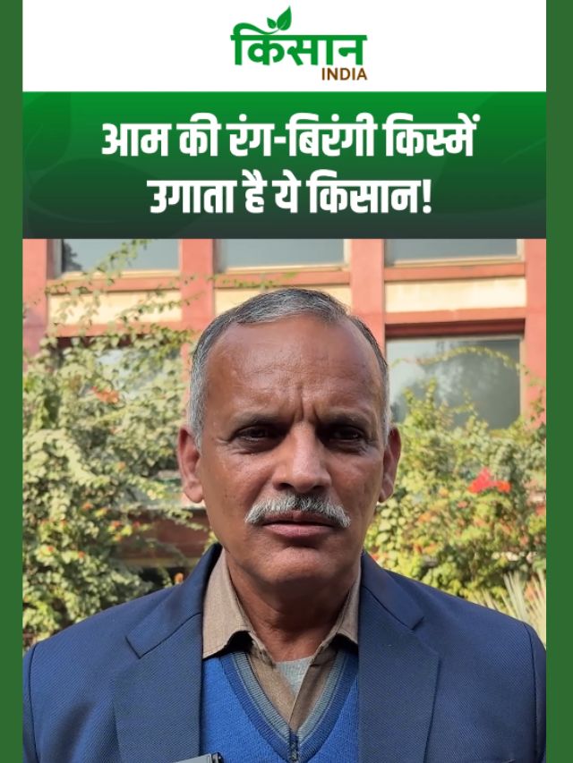 पढ़ा-लिखा किसान बना मिसाल, रंग-बिरंगी आम की किस्मों से बढ़ाई आमदनी!