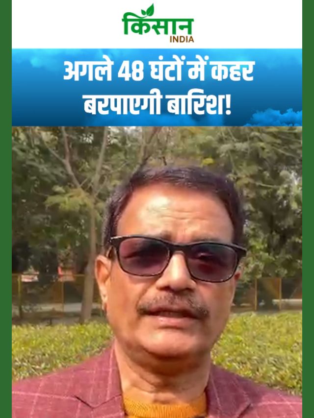 मौसम लेगा खतरनाक करवट! IMD Alert से बढ़ी लोगों की चिंता!