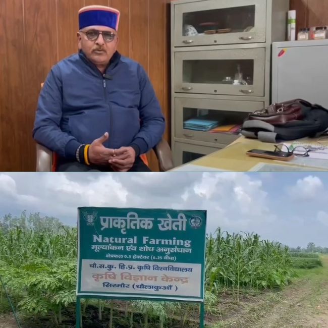 Weather Resilient Crops