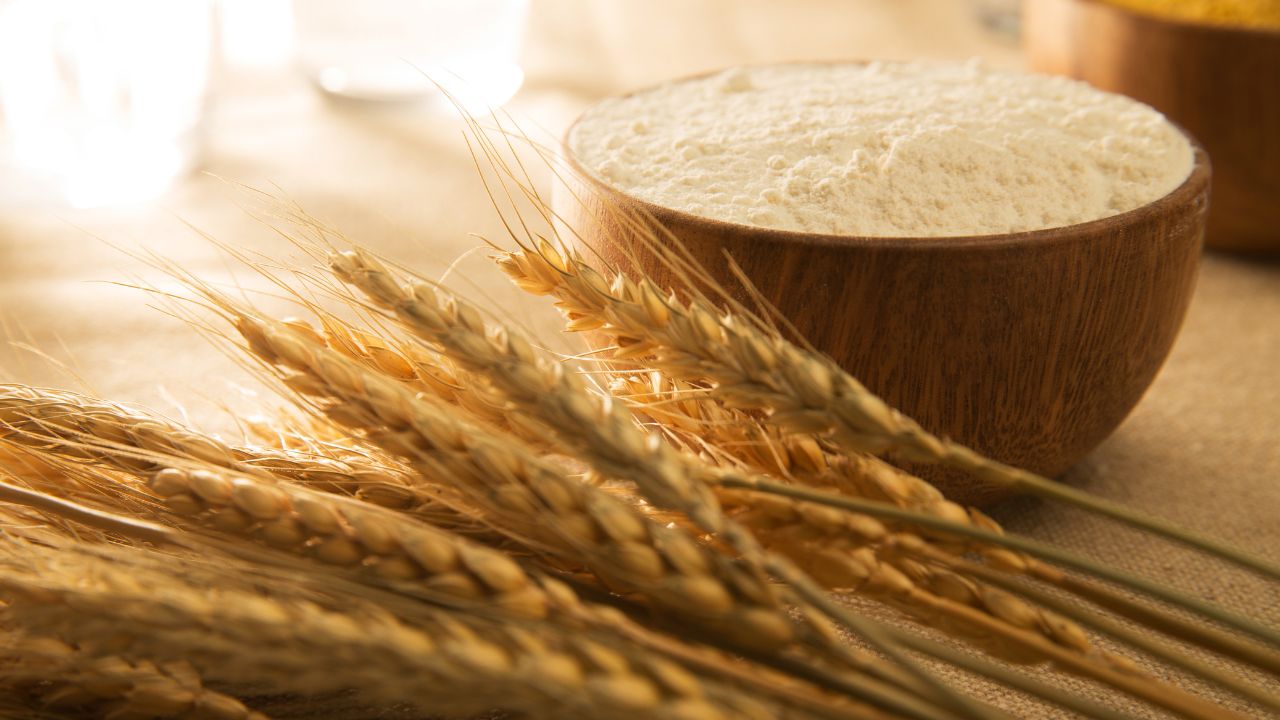 India Partially Lifts Wheat Exports 500000 Tons Wheat Flour Semolina Dgft Notification Us Trade Talks