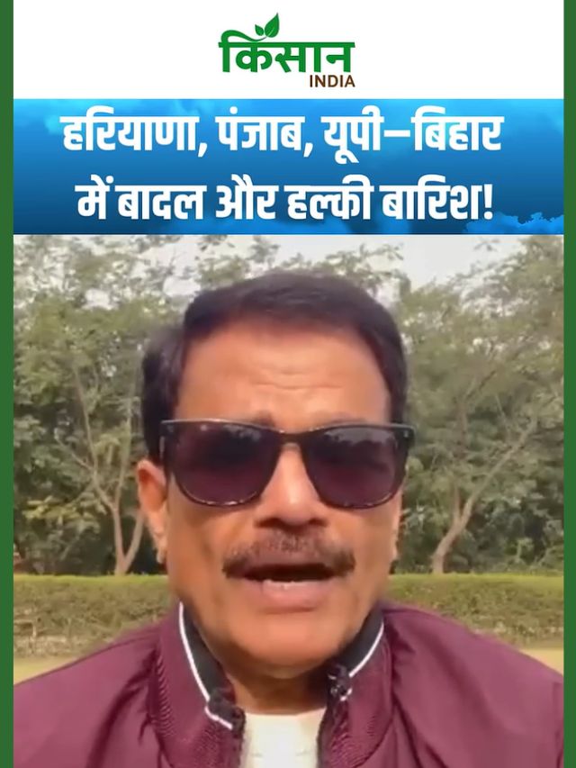 Aaj Ka Mausam: IMD Alert: कश्मीर में भारी बर्फबारी, उत्तर भारत में ठंड और कोहरा बढ़ेगा