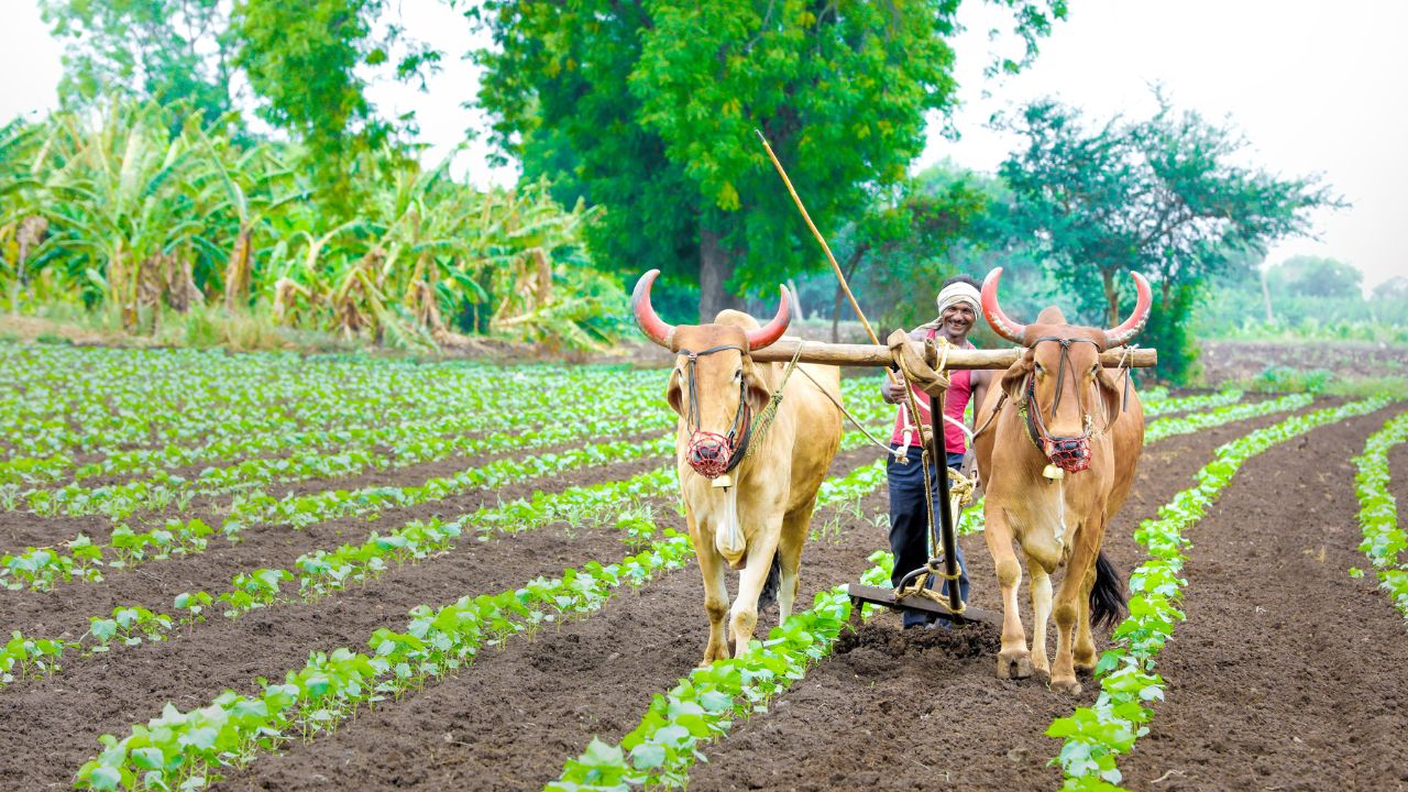 खेती-किसानी के लिए फंड की कमी नहीं, गांवों-गरीबों के लिए काम करने वाला चाहिए.. आत्महत्या रोकना मिशन