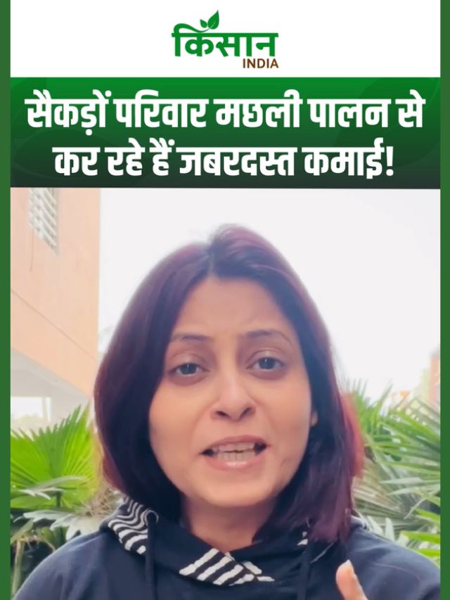 गांव में रहकर रोजगार की नई राह, पशुपालन बना लाखों परिवारों की कमाई का सहारा