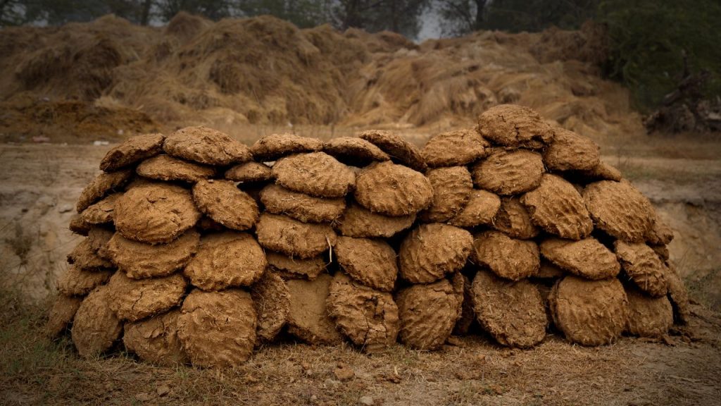 लगातार रासायनिक उर्वरकों और कीटनाशकों के उपयोग से मिट्टी का पीएच असंतुलित हो जाता है. इससे मिट्टी के लिए फायदेमंद माने जाने वाले सूक्ष्म जीव और मित्र कीट नष्ट हो रहे हैं, जिसका सीधा असर फसल की उत्पादकता और गुणवत्ता पर पड़ता है.