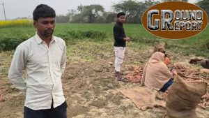 किसानों को नहीं मिल रहा गाजर का भाव, 4 रुपये में खरीदकर 20 रुपये में बेच रहे व्यापारी.. युवा किसान की जुबानी