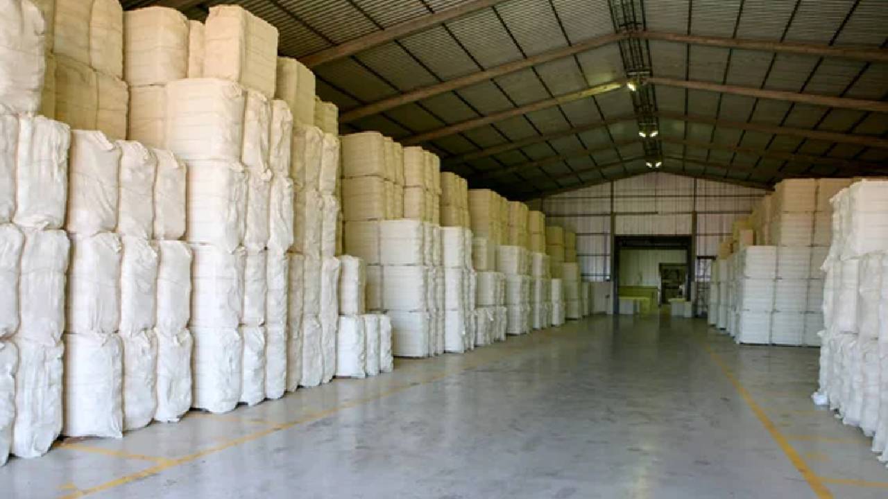 Cci To Start Sale Of 2025 26 Season Cotton From January 19 Prices Firm Output Estimates Rise