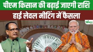 PM Kisan News: किसानों को नए साल में मिल सकती है राहत, सम्मान निधि की रकम बढ़ाने की तैयारी तेज PM Kisan News: किसानों को नए साल में मिल सकती है राहत, सम्मान निधि की रकम बढ़ाने की तैयारी तेज