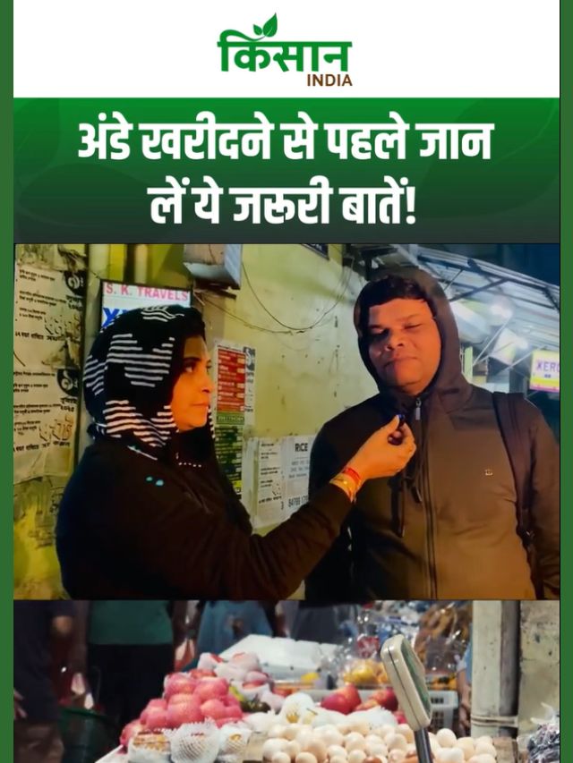 Fake Eggs: बाजार में कहां मिलते हैं नकली अंडे, किस तरह पहचानें