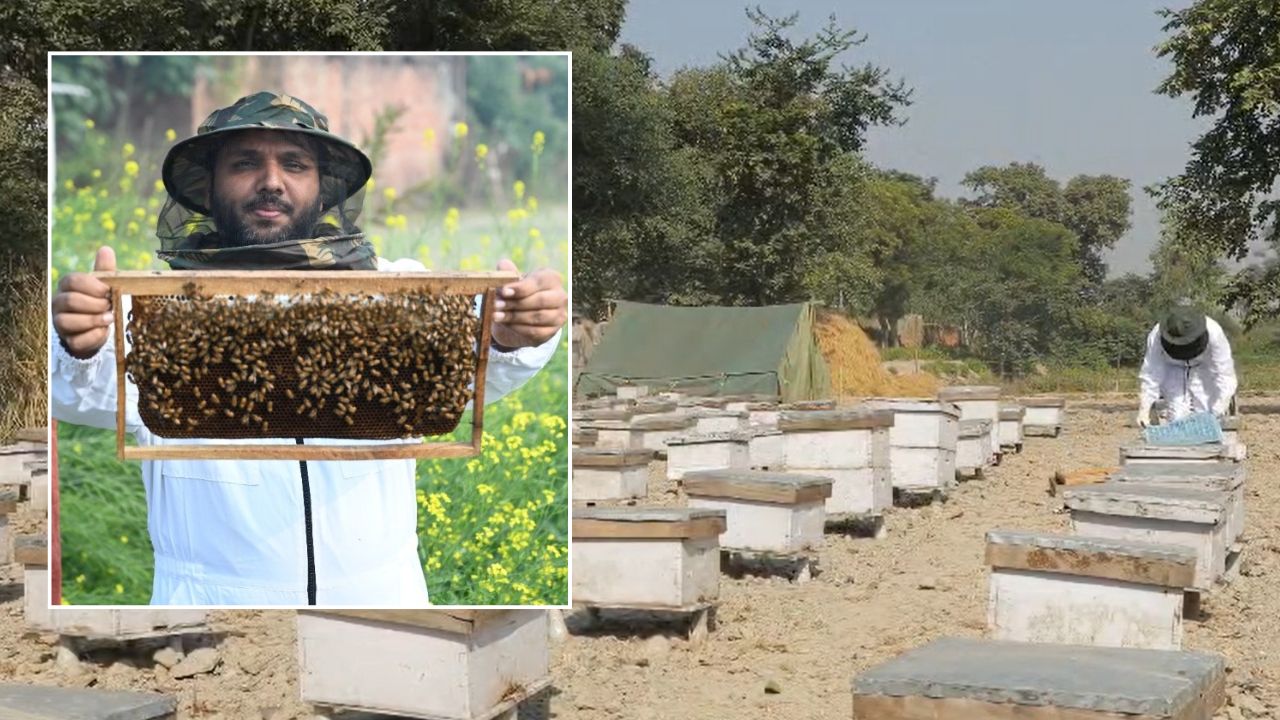 Engineer Nimit Singh Beekeeping Startup Madhumakhiwala And Earning Crosses Rs 2 Crore Annually He Trained And Join 1200 Farmers