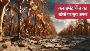 ठहराव की ओर जलवायु परिवर्तन, इस साल भी सताएगी गर्मी.. खेती पर बुरे असर की चिंताओं में विशेषज्ञ