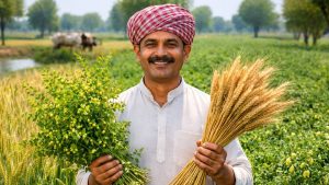 उत्तर प्रदेश रबी फसल गाइड 2025-26: गेहूं से सरसों तक बदलते मौसम में कौन-सी फसल होगी सुरक्षित और फायदेमंद?