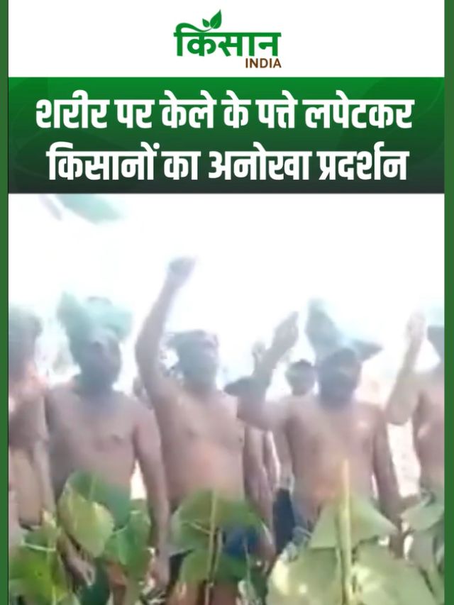 नग्न होकर प्रदर्शन क्यों कर रहे किसान? बुरहानपुर मुआवजा विवाद